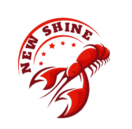 NEW SHINE TRADING LIMITED